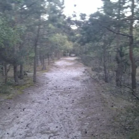 Gemuetliches Holzferienhaus Mit Grill Und Garten By Interhome Semesterbostad *