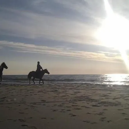 Gemuetliches Holzferienhaus Mit Grill Und Garten By Interhome * Rusinowo (Slawno)