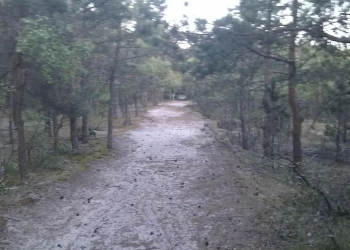 Gemuetliches Holzferienhaus Mit Grill Und Garten By Interhome Semesterbostad *