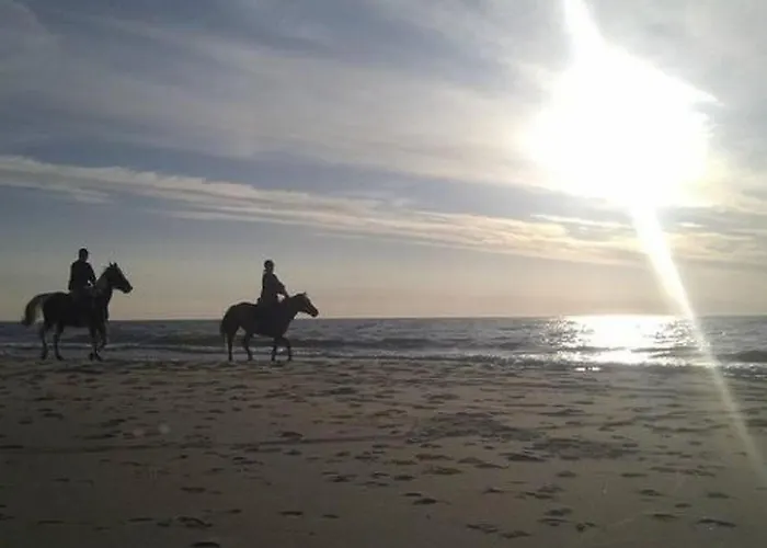 Gemuetliches Holzferienhaus Mit Grill Und Garten By Interhome * Rusinowo (Slawno)